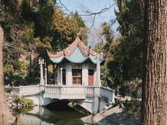 -叶家花园