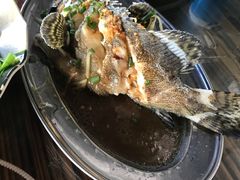 -四川人郑霞海鲜