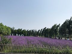 -渔岛海洋度假区