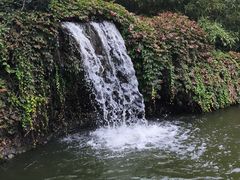 -静之湖湖畔餐厅