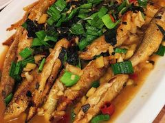 红烧溪鱼-王家厨房(新华路店)