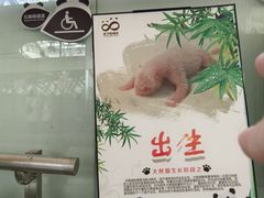 -青藏高原野生动物园