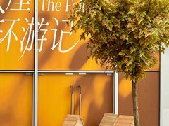 -首开·龙湖成都西宸天街