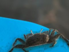 -南汇新城海滩