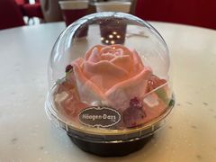 -哈根达斯(扬州瘦西湖店)