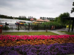 -上海长兴岛郊野公园