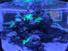 -上和臻品中国菜(花园街店)