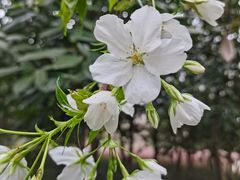 -Bread Talk 面包新语(荟聚店)