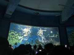 -海合安武汉极地海洋公园