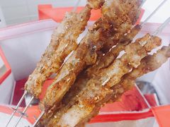 -邢氏老太太烤串(北兴街店)