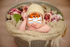 -蓓儿悦月子会所(日月大道店)