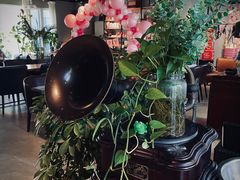 -百好乐宠物友好餐厅(朝外大街店)