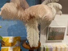 -简屋书店