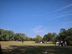 -长白岛森林公园