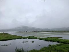 -腾冲北海湿地