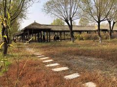 -呼兰河口湿地公园