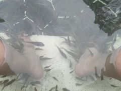 -海兰云天度假区温泉
