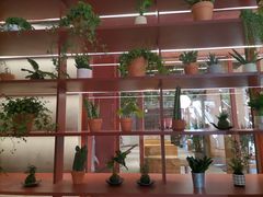 -二酉书店TOYOU BOOKS