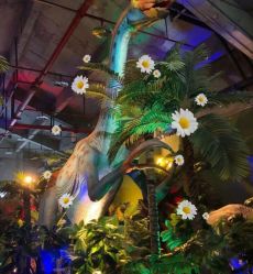 -恐龙探索乐园(磁器口店)