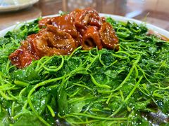 草头圈子-长兴菜馆(高桥店)