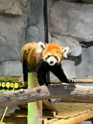 -Zoolung Zoolung动物主题公园(海信广场店)