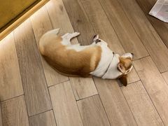 -天井·丑面包搭咖啡