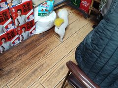 -红升老菜馆(巨兴街店)