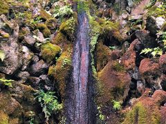 -常寂光寺