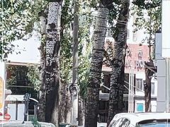 -燕山大酒店