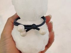-世界之窗阿尔卑斯冰雪世界