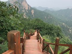 -大岭沟猕猴桃谷风景区