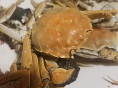 -鑫海汇海鲜烤肉自助(北国商城店)
