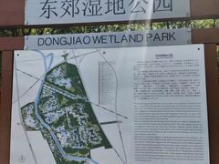 -东郊湿地公园