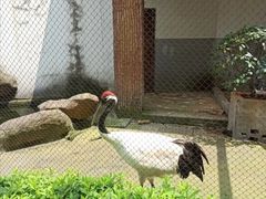 -南昌动物园