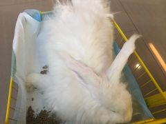 -成都失恋馆