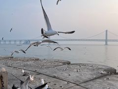 -星海广场