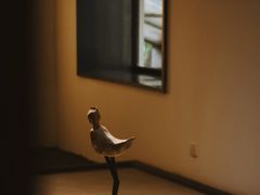 -元白和创园展厅