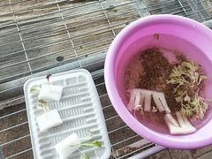 -晶宝温泉农庄