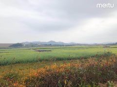 -光明小镇欢乐田园