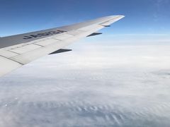 -全日本空输株式会社(上海办事处)