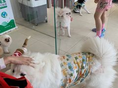 -怪兽屋·羊驼·猫咖·狗咖(俊华广场店)