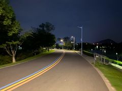 -羊山湖公园