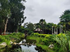 -云南民族村