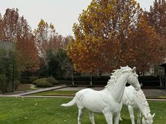 -春晖园度假酒店温泉