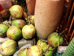 -探窝·竹笙椰子鸡(杨箕店)