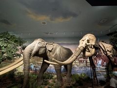 -湖南省地质博物馆