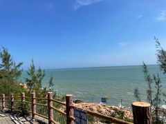 -广东惠东海龟国家级自然保护区