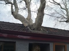 -上海孙中山故居纪念馆