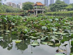 -深圳龙潭公园