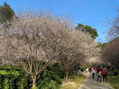 -广州市白云山风景名胜区